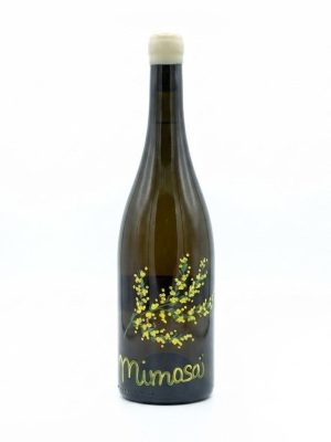 MIMOSA-ATRIUM VITIS