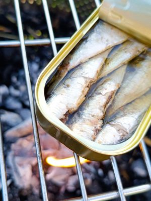 Xoubina Ahumada en AO